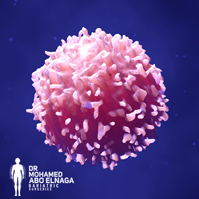 The relationship between cancer and obesity